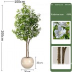 cây hoa sim giả